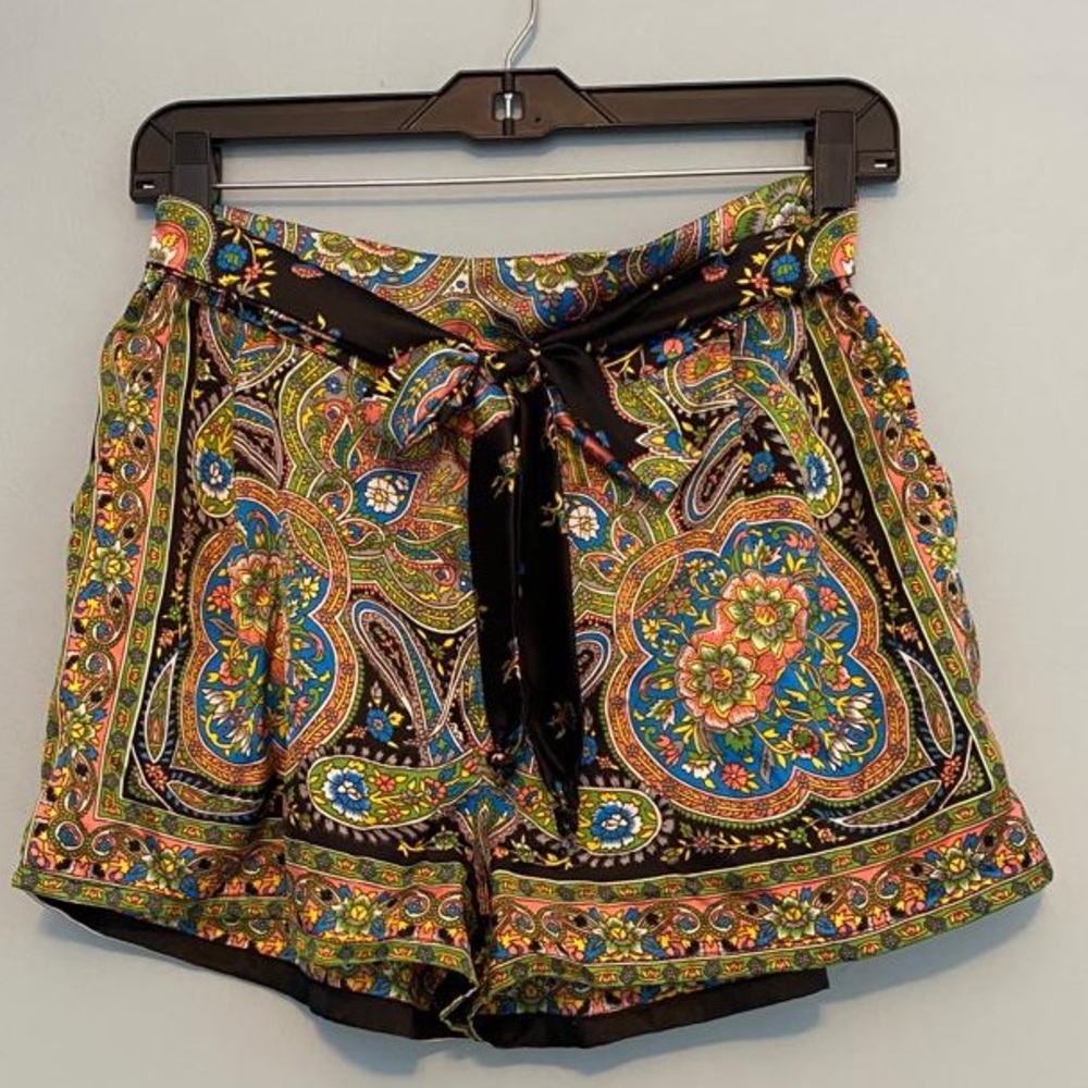 Multicolor Silk Shorts
